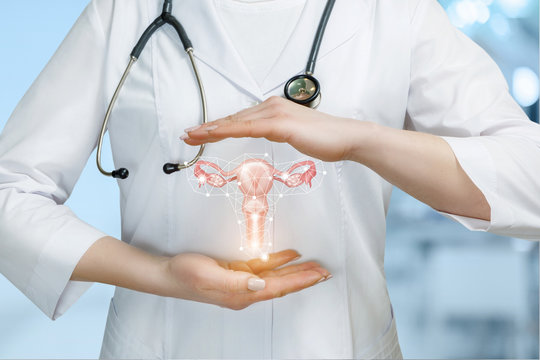 Best Gynaecologist Doctor